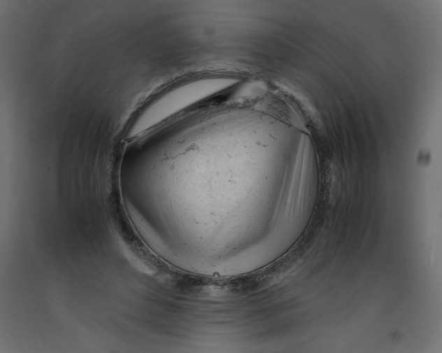 X0000092310496200710121501