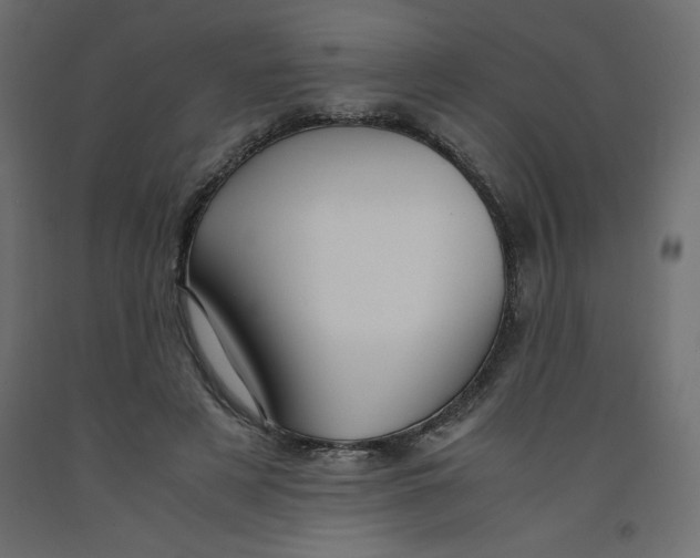X0000092310497200710121501