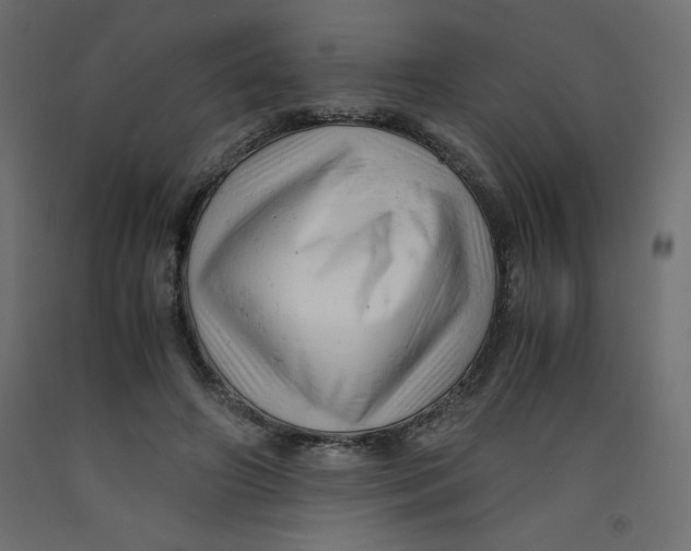 X0000092310498200710121501
