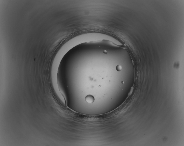 X0000092310501200710121501