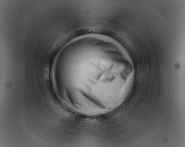 X0000092310502200710121501