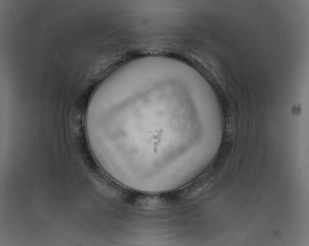 X0000092310503200710121501