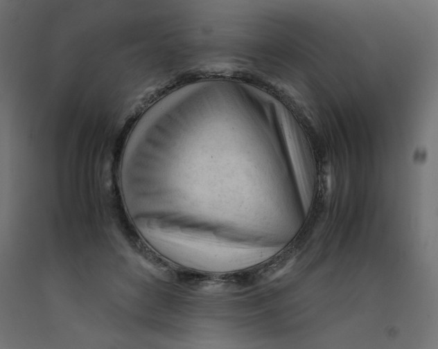 X0000092310504200710121501
