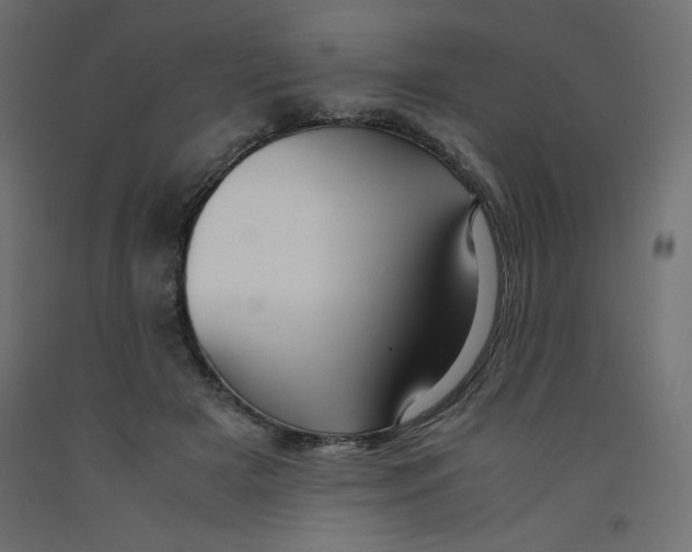 X0000092310505200710121501