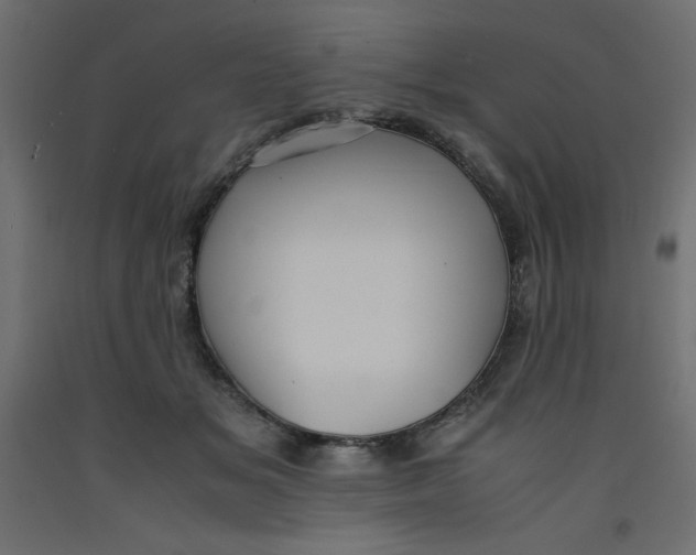 X0000092310509200710121501