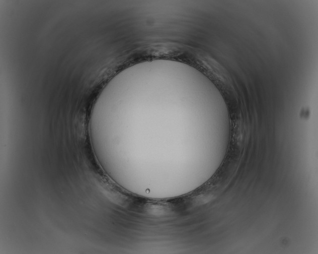 X0000092310510200710121501