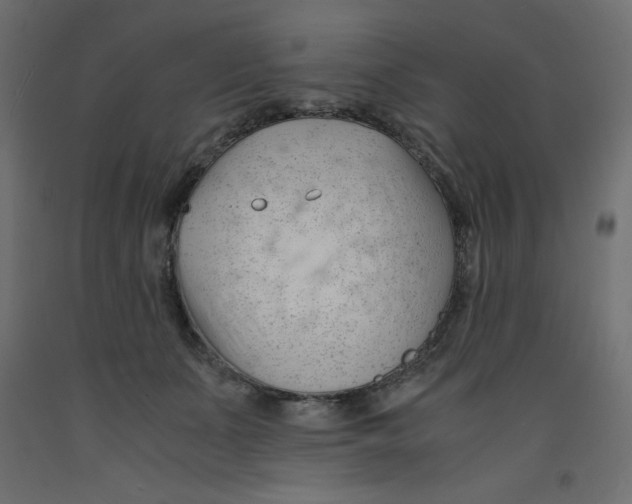 X0000092310511200710121501