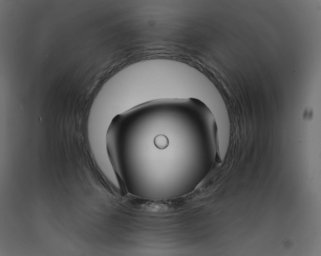 X0000092310512200710121501