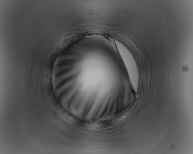 X0000092310513200710121501