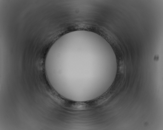 X0000092310514200710121501