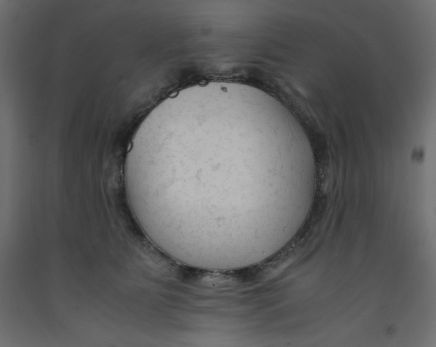 X0000092310515200710121501