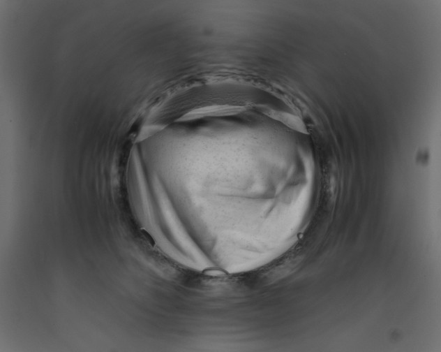 X0000092310516200710121501