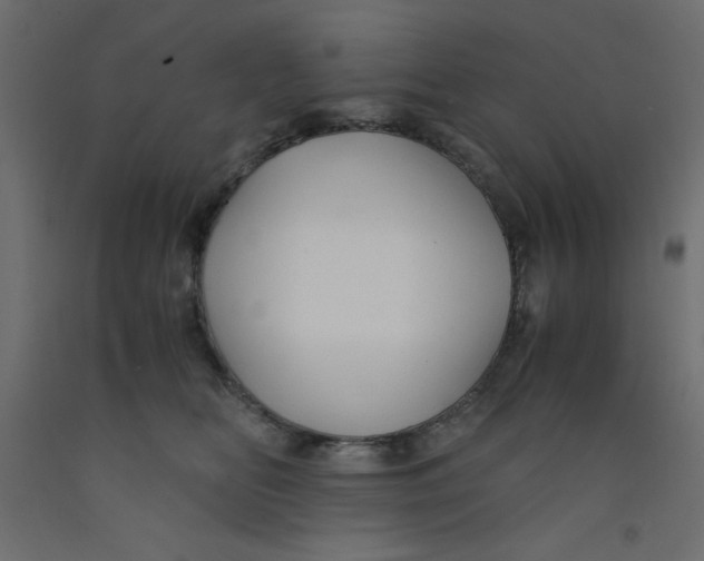 X0000092310518200710121501