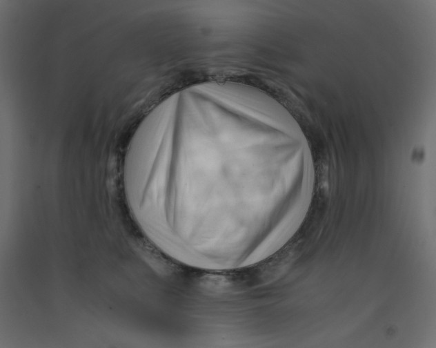 X0000092310519200710121501