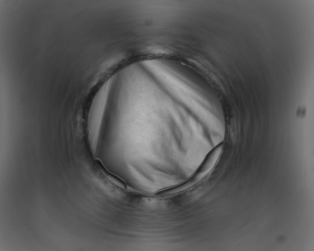 X0000092310520200710121501