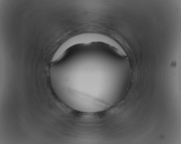 X0000092310521200710121501