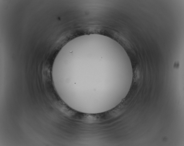 X0000092310522200710121501