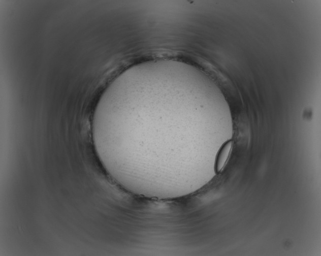 X0000092310523200710121501