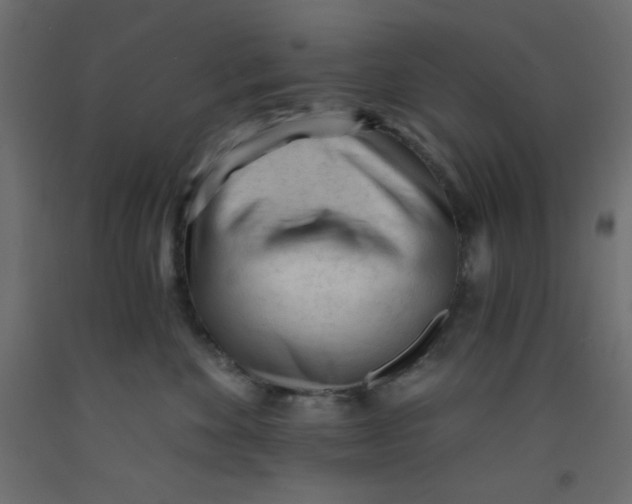 X0000092310524200710121501