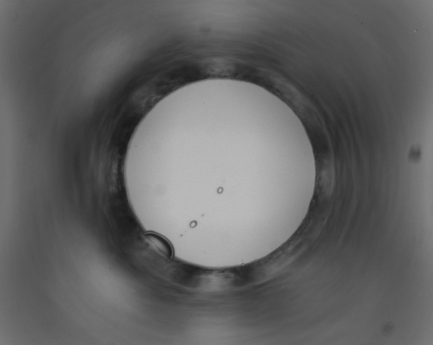 X0000092310525200710121501
