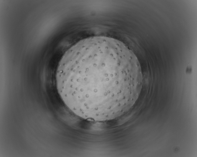 X0000092310527200710121500