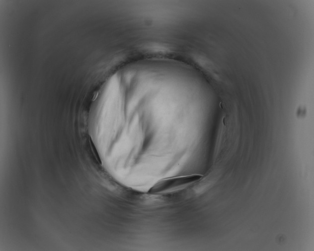 X0000092310528200710121500