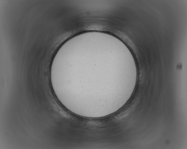 X0000092310529200710121500