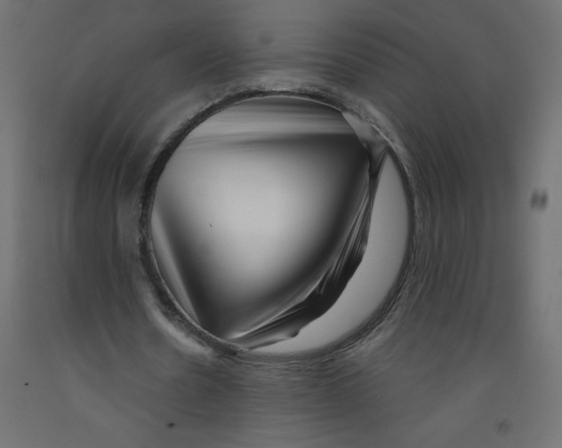 X0000092310530200710121500