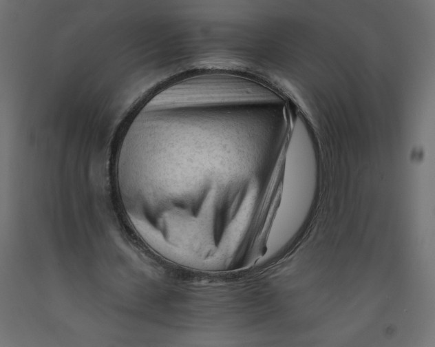 X0000092310531200710121500