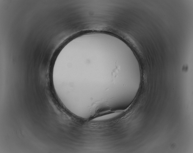X0000092310532200710121500