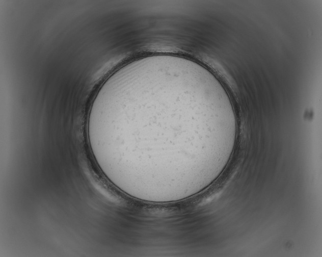 X0000092310533200710121500