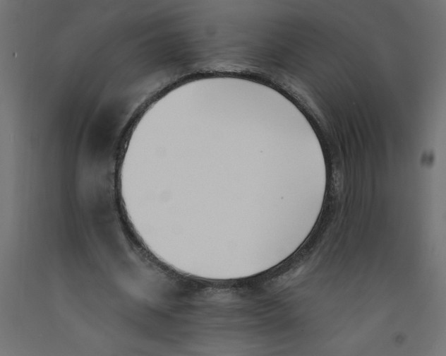 X0000092310534200710121500