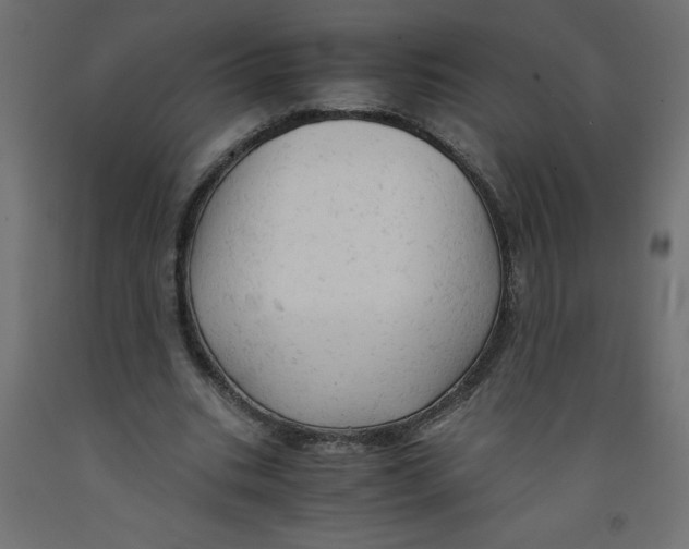 X0000092310535200710121500