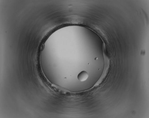 X0000092310536200710121500