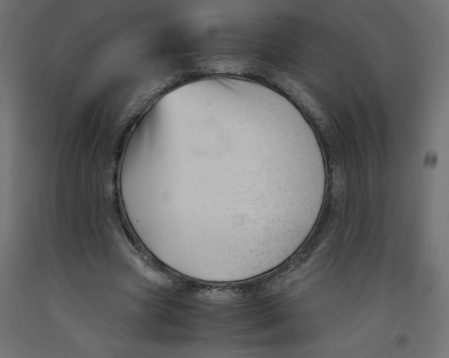 X0000092310537200710121500