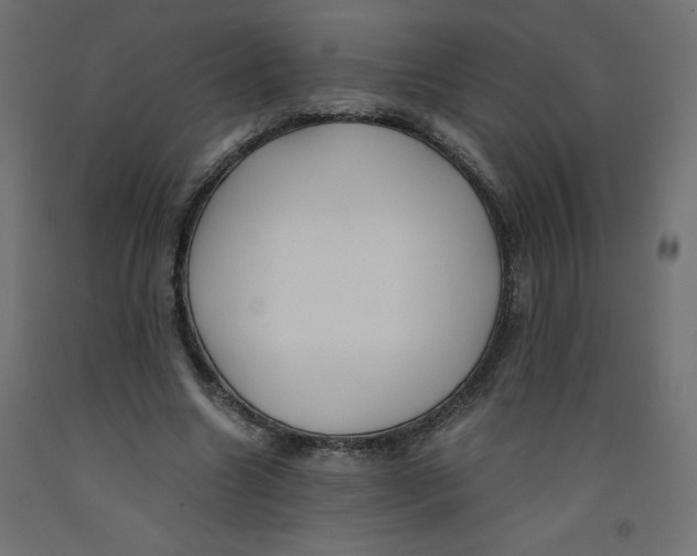 X0000092310538200710121500