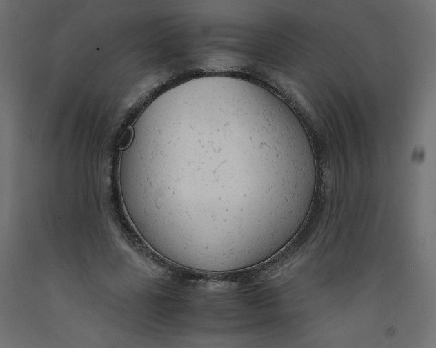 X0000092310539200710121500