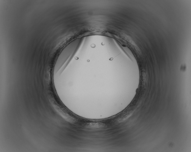 X0000092310541200710121500