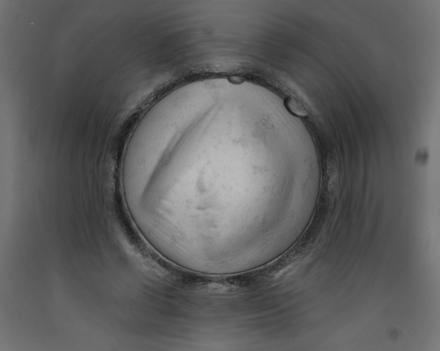 X0000092310542200710121500