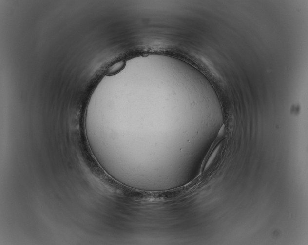 X0000092310543200710121500