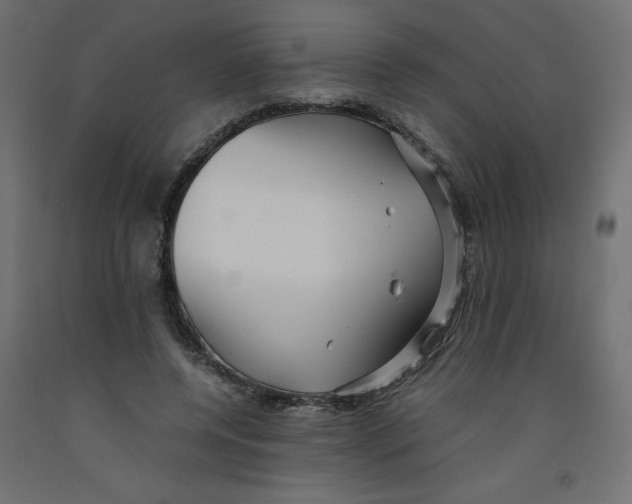 X0000092310544200710121500