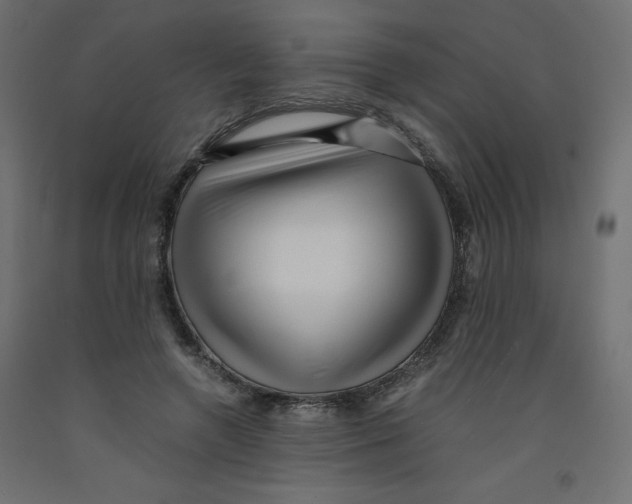 X0000092310546200710121500