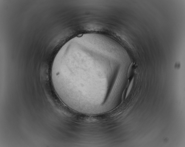 X0000092310547200710121500