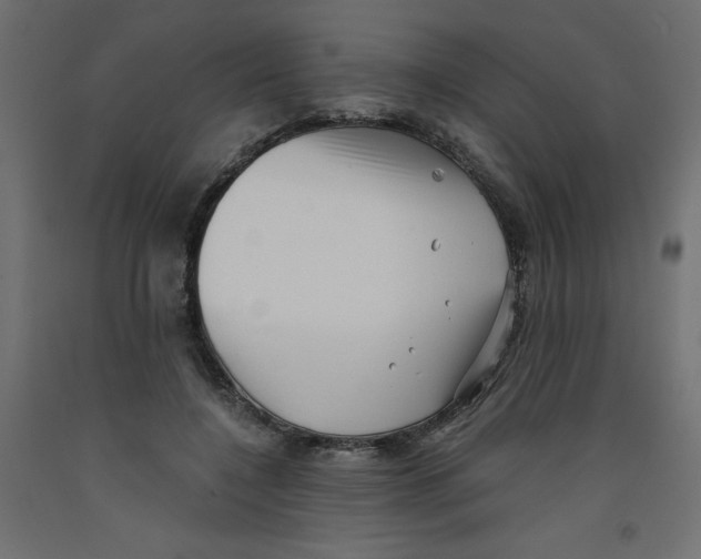 X0000092310548200710121500