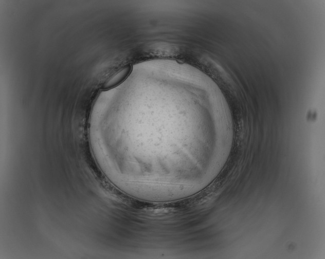 X0000092310553200710121500