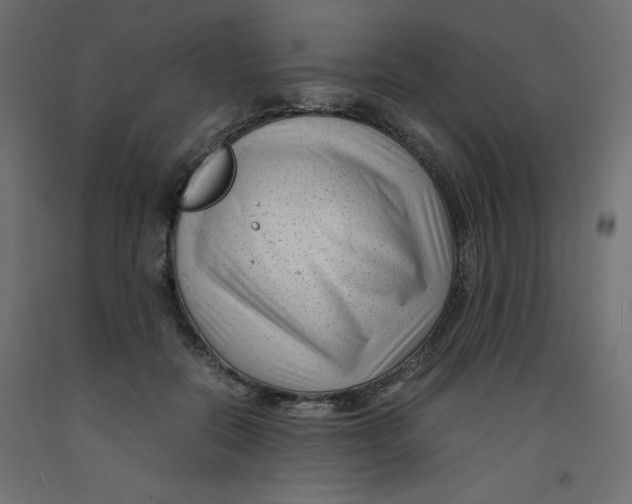X0000092310554200710121500