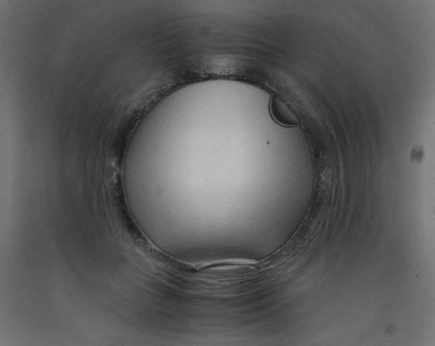 X0000092310555200710121500