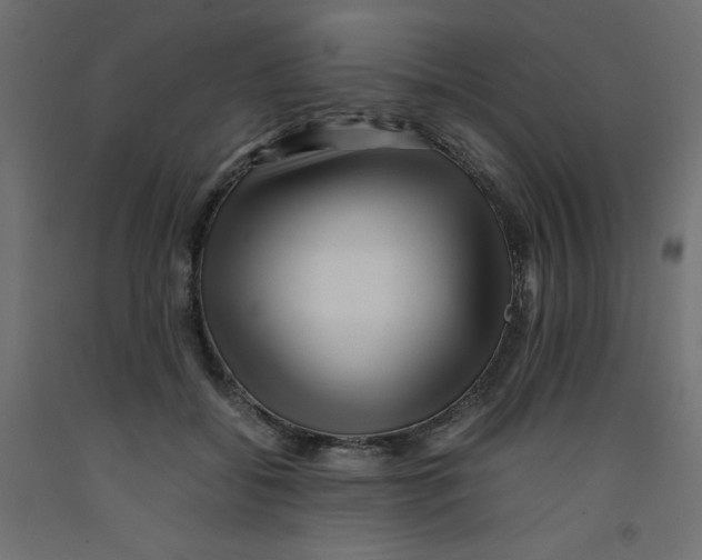 X0000092310556200710121500