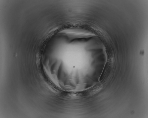 X0000092310558200710121500