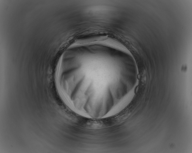 X0000092310559200710121500
